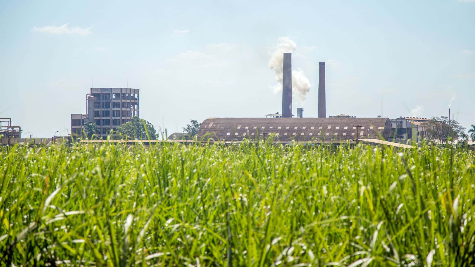 industrial complex, smoking chimneys, lush green grass, Full HD Desktop Wallpaper
