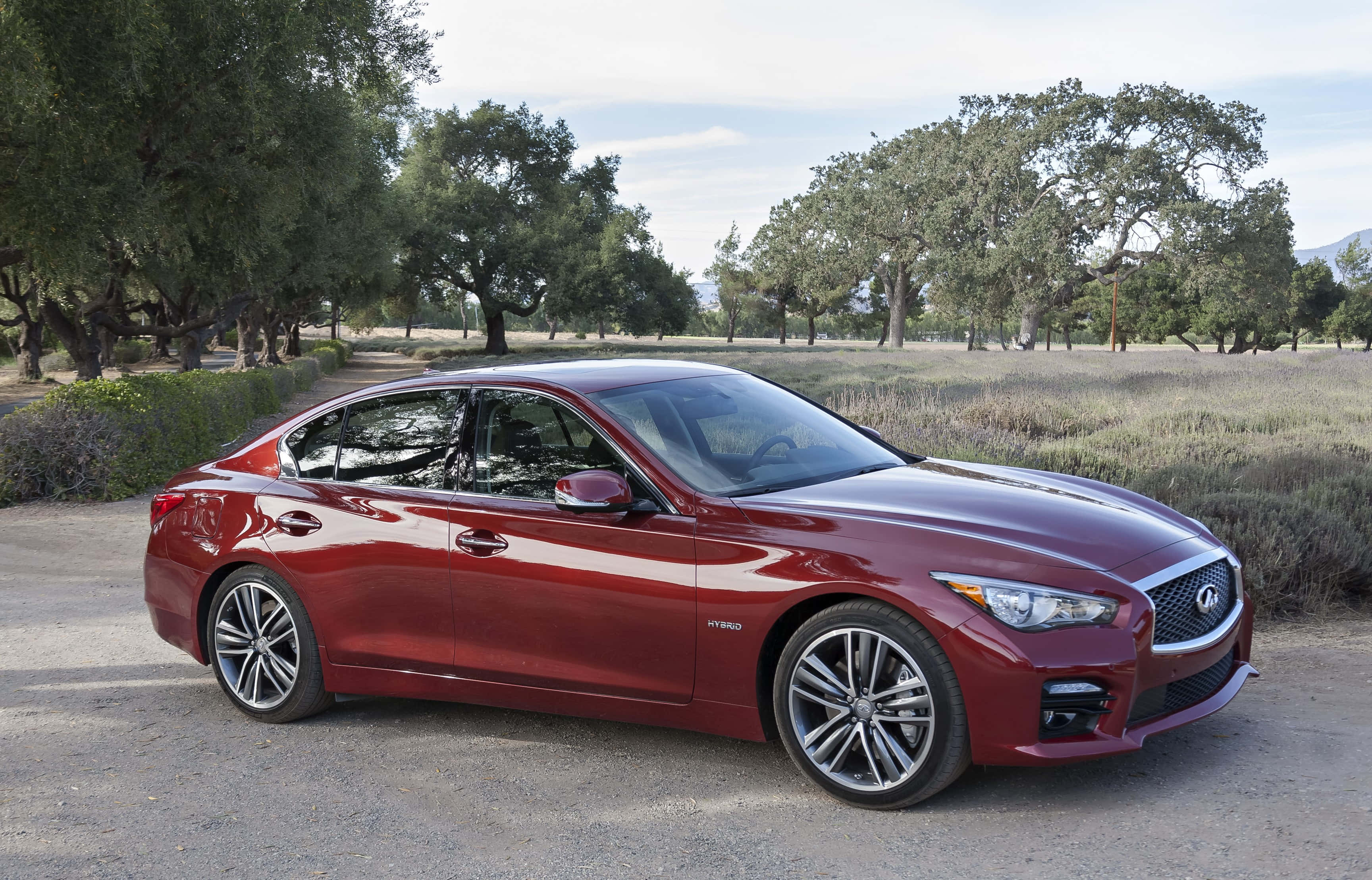 Infiniti Q50, red, glossy, 2K Desktop Wallpaper