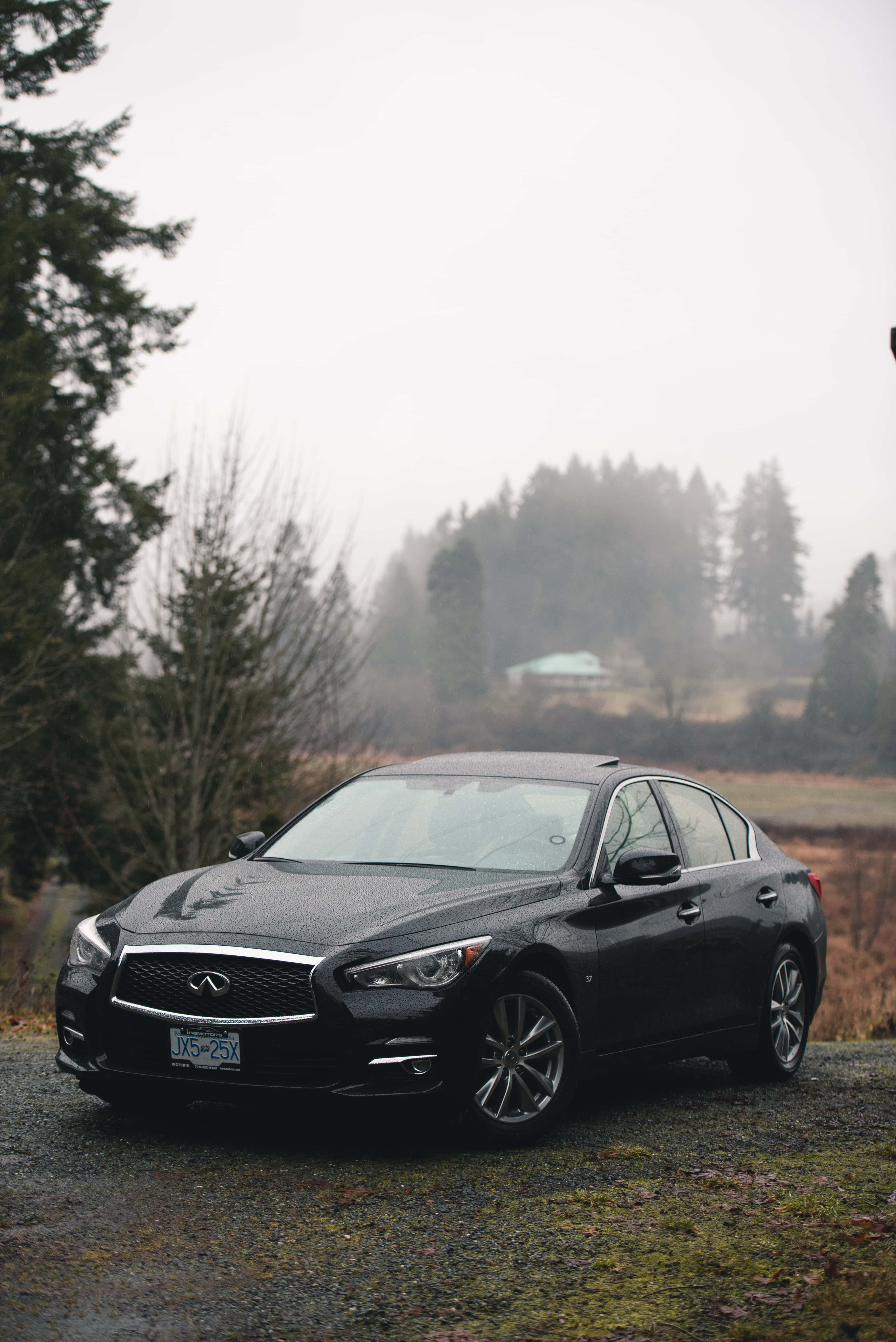 Infiniti Q50, black, mossy gravel path, 5K Phone Wallpaper