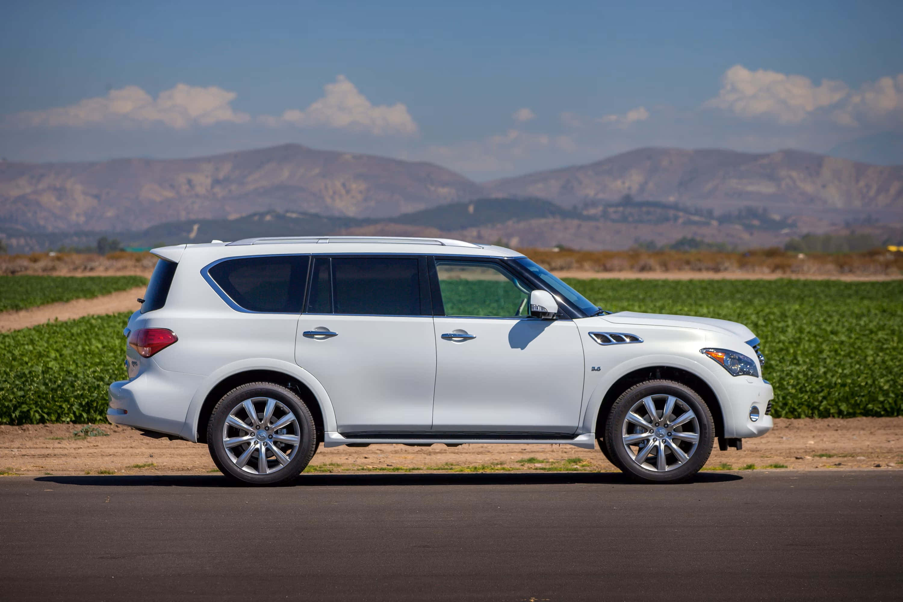 Infiniti QX80, white, asphalt road, 2K Desktop Wallpaper