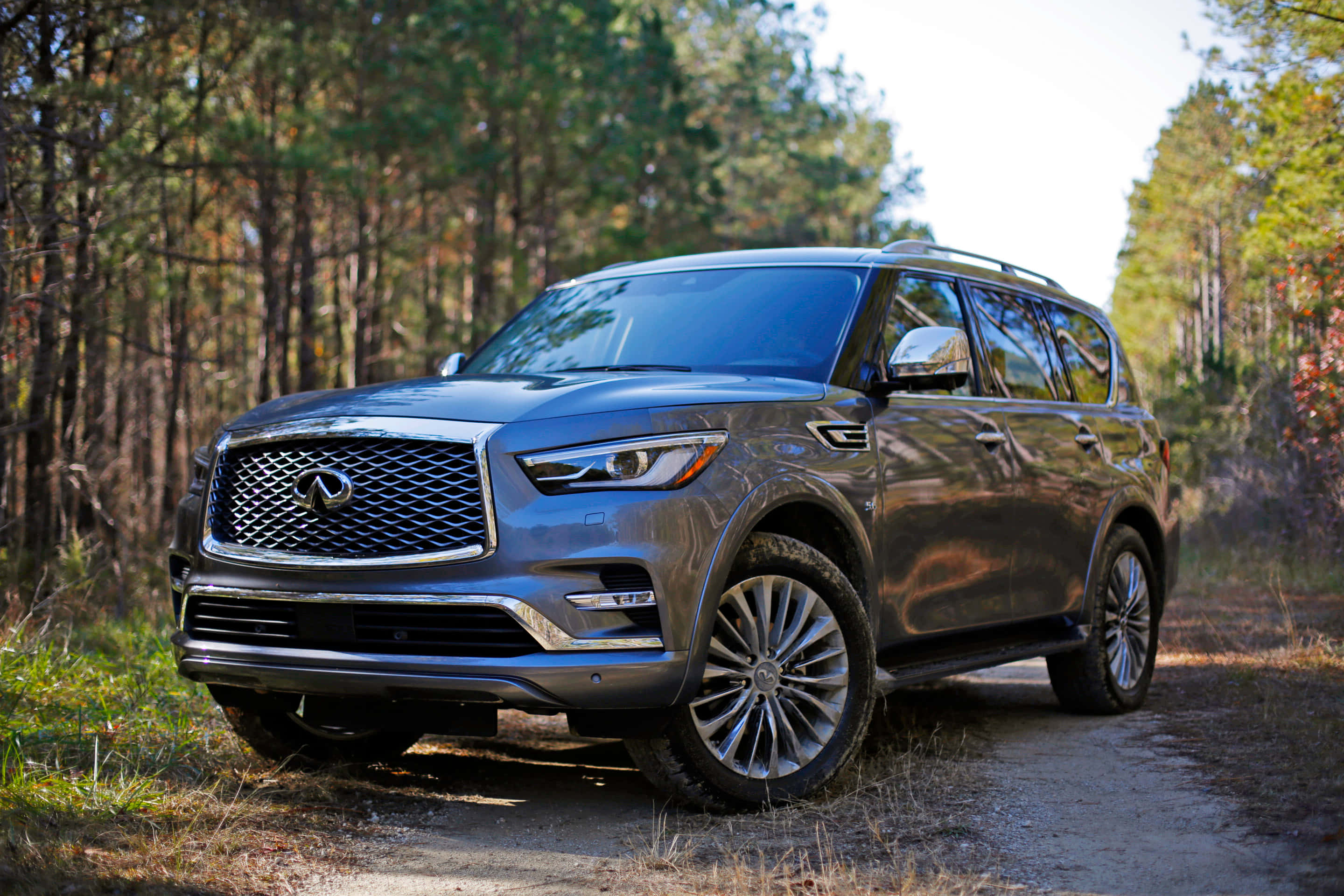 Infiniti QX80, 2022 Infiniti QX80, sleek gray, 2K Desktop Wallpaper
