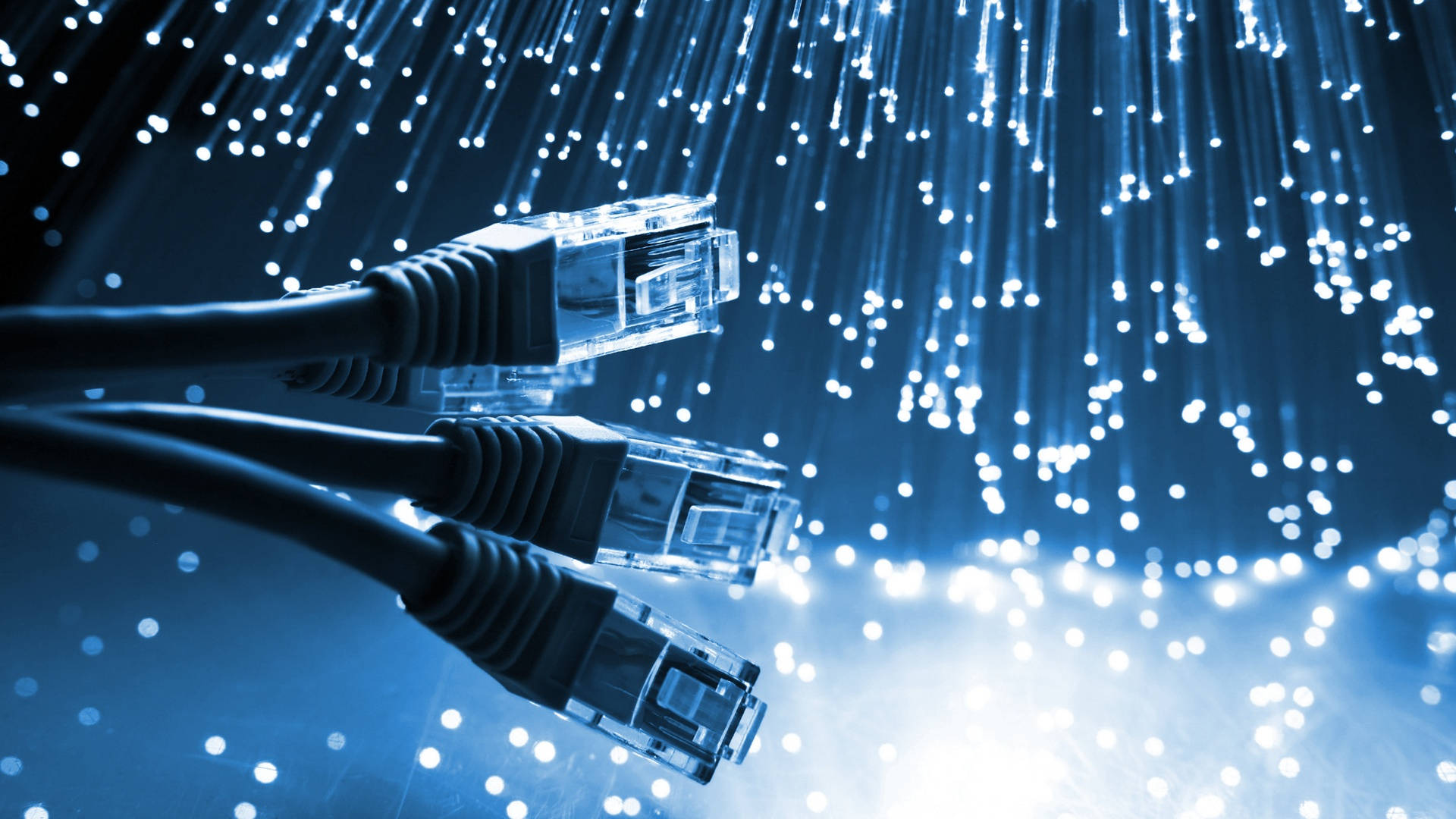 Information Technology, network cables, ethernet cables, Full HD Desktop Wallpaper