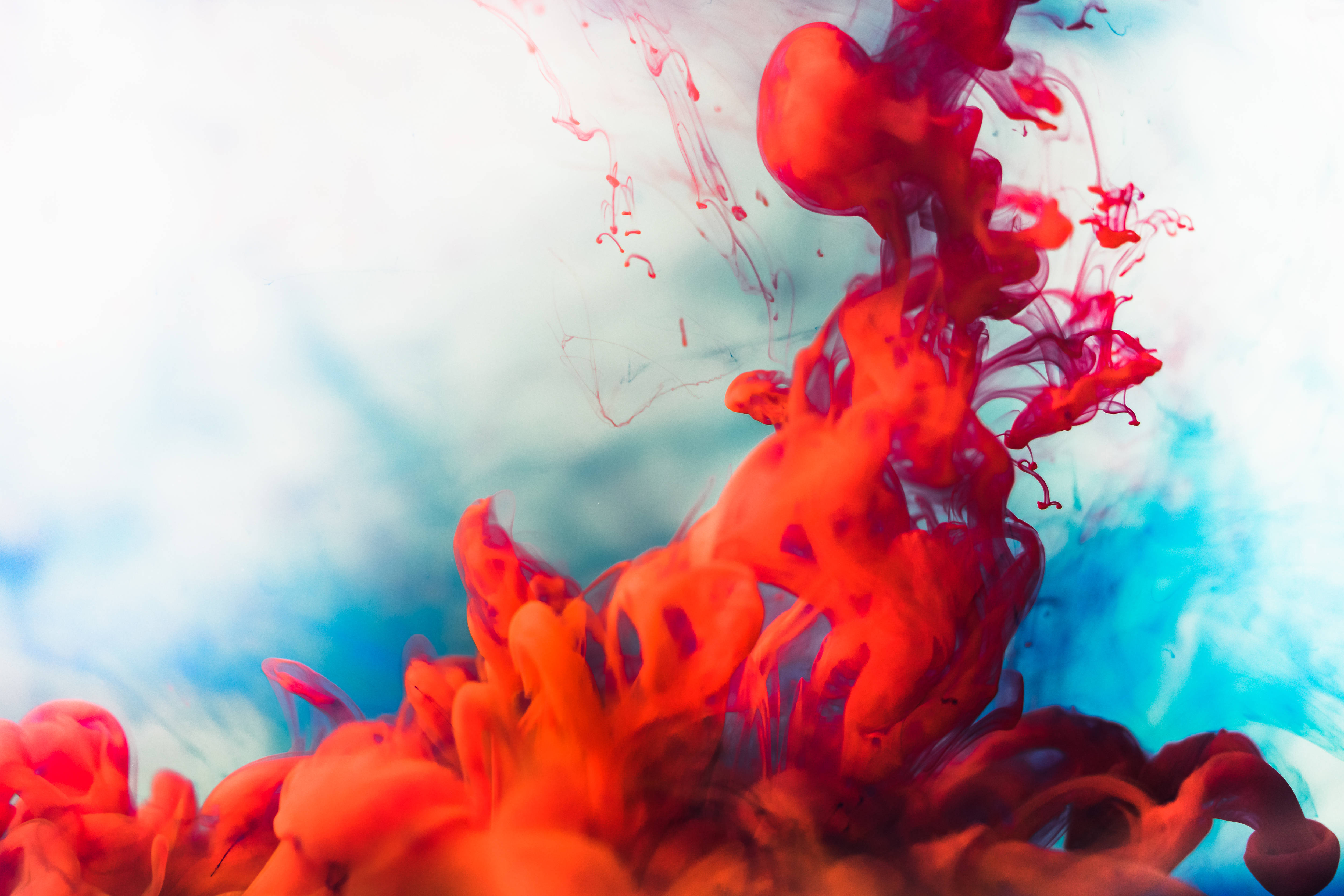 4k color ink in water, vibrant red ink, soft blue and white watery backdrop, 4K Desktop Wallpaper