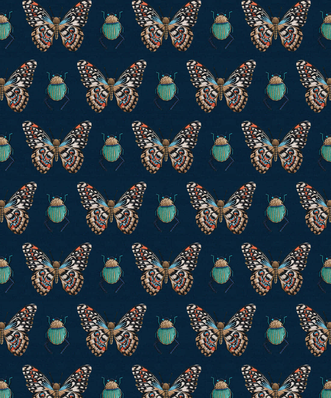 dark insects wall decor, butterflies, beetles, HD Phone Wallpaper