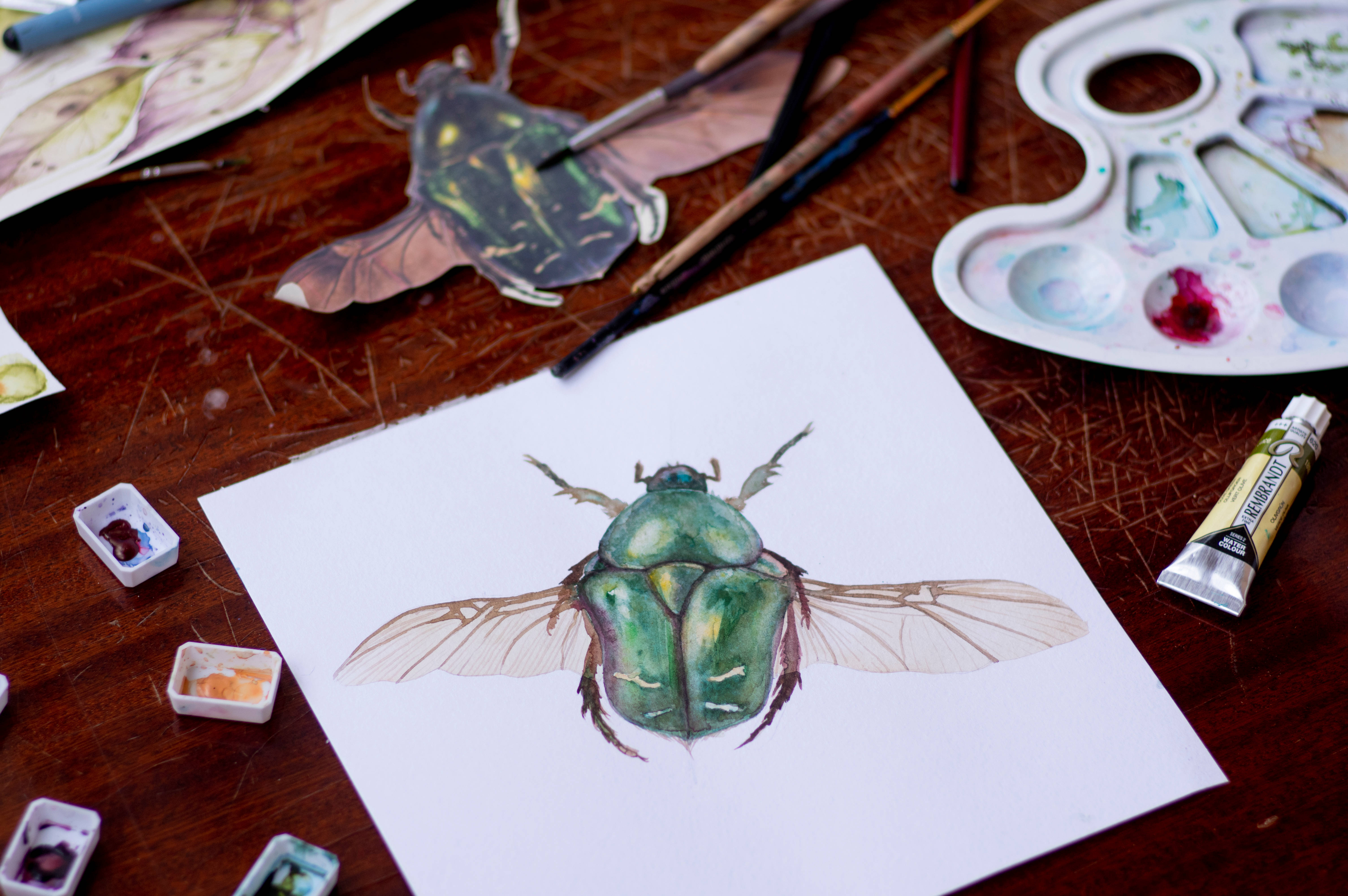 green beetle, watercolor painting, wooden desk, 5K Desktop Wallpaper