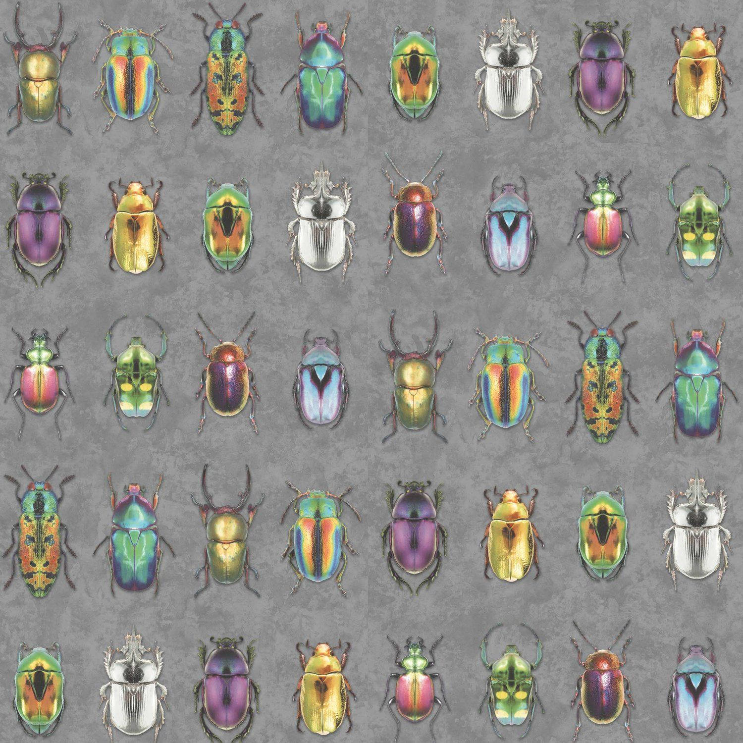 beetle, iridescent, metallic shells, HD Desktop Wallpaper