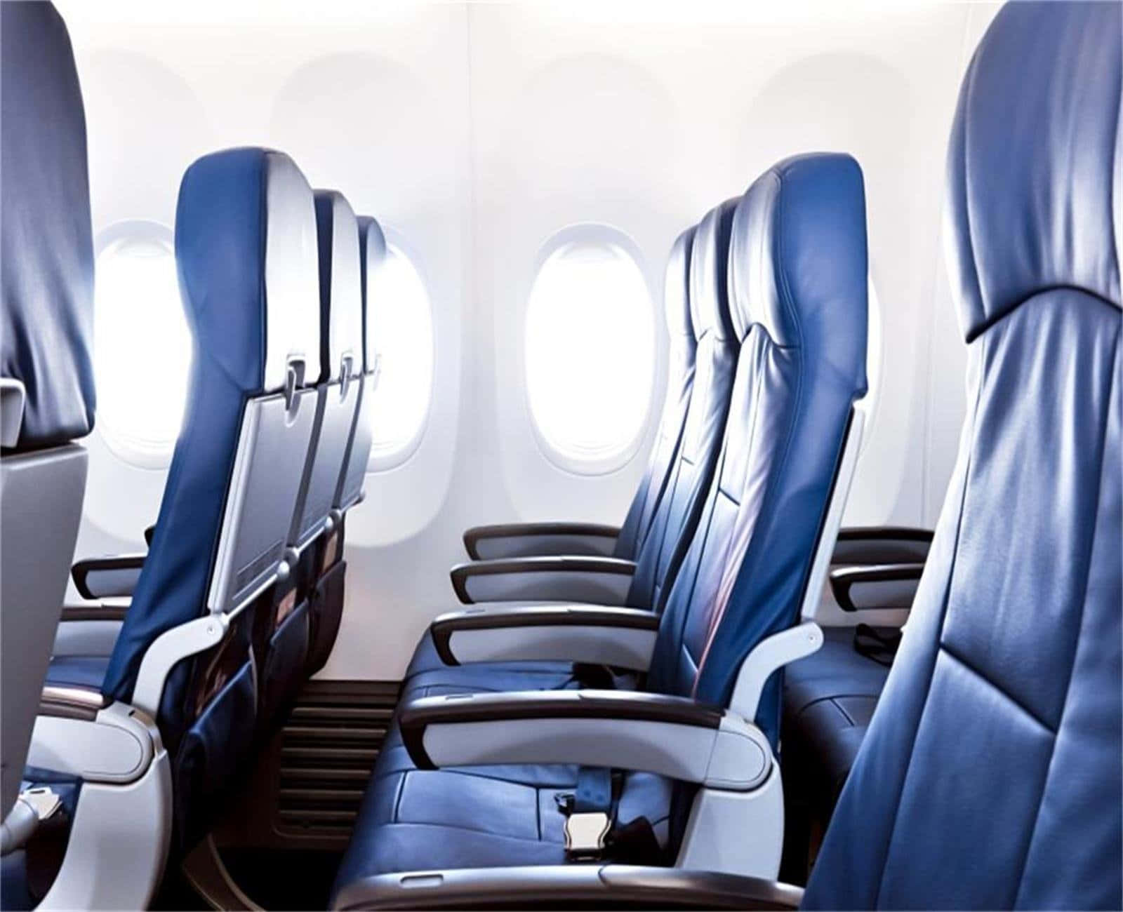 economy class, blue leather airplane seats, bright cabin, HD Desktop Wallpaper