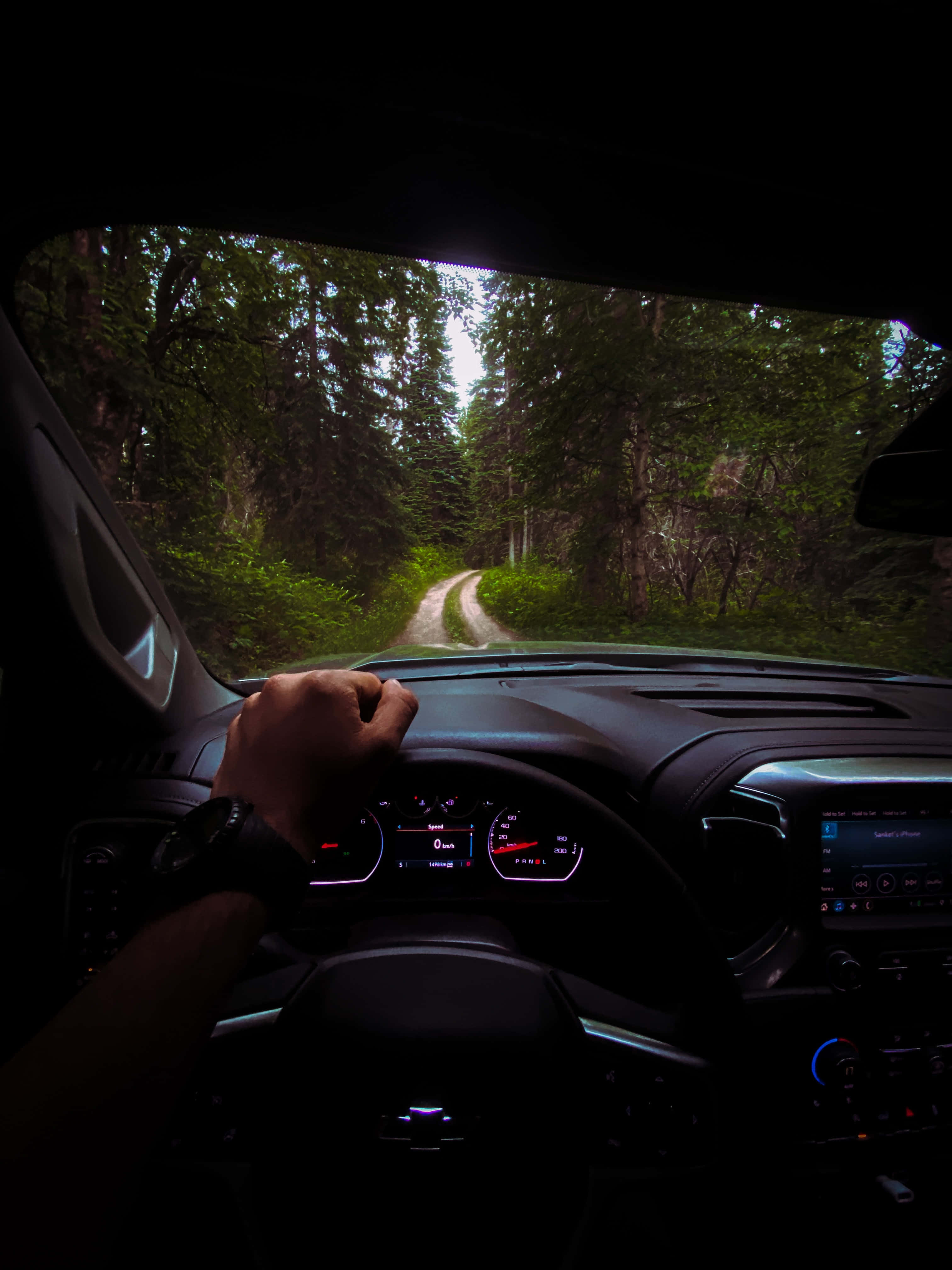 steering wheel, winding forest road, dense green trees, 4K Phone Wallpaper