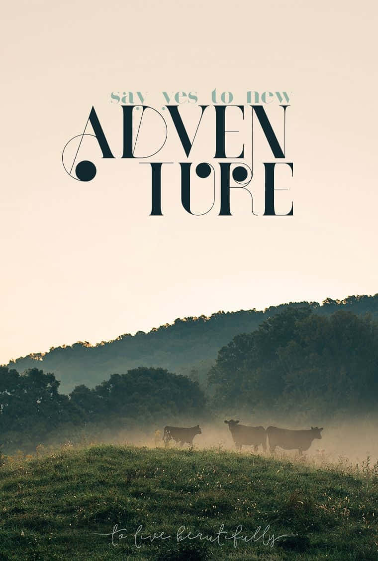 iPhone, misty dawn fields, bold typography, SD Phone Wallpaper