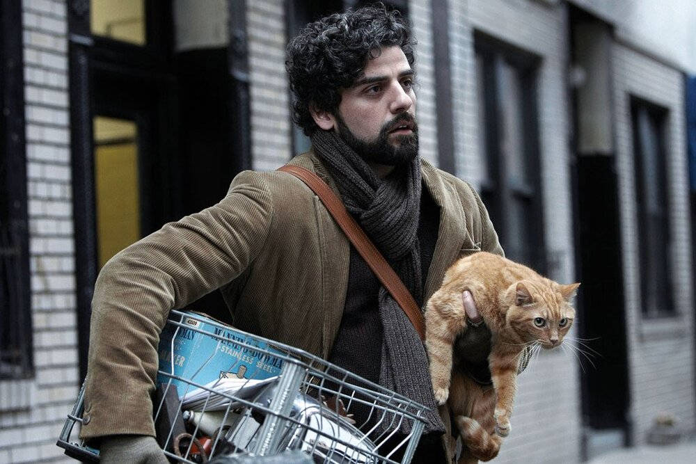 Inside Llewyn Davis, cat Ulysses, brown coat, SD Desktop Wallpaper