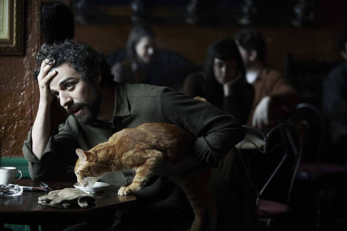 Inside Llewyn Davis, cat, orange cat, SD Desktop Wallpaper
