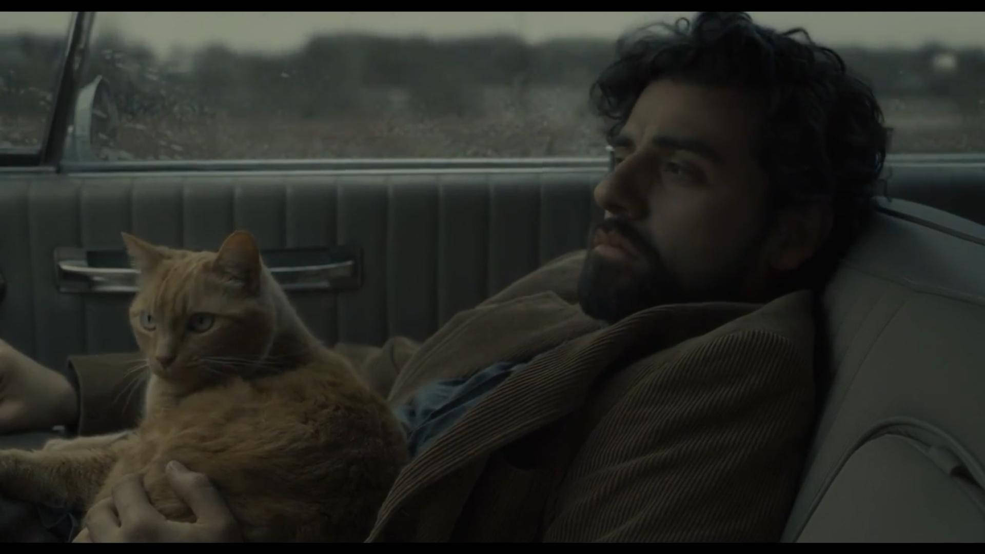 Inside Llewyn Davis, bearded man, orange tabby cat, Full HD Desktop Wallpaper