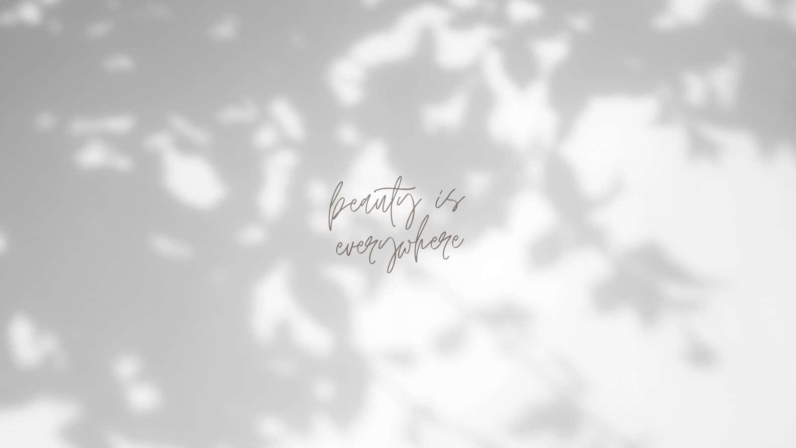 soft gray wall, dappled leaf shadows, delicate cursive text, HD Desktop Wallpaper