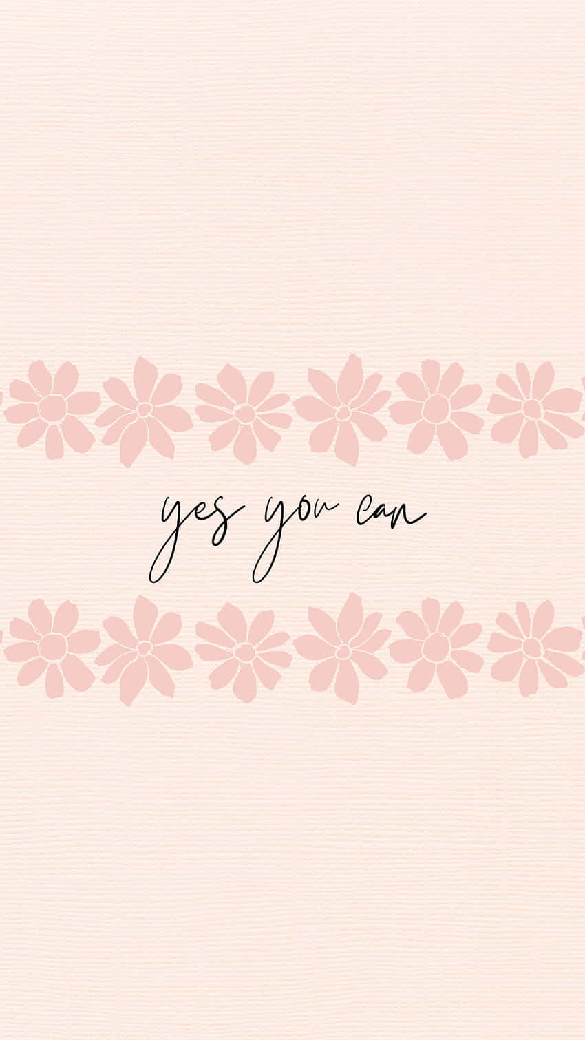 yes you can, pink daisy flowers, soft pink textured wallpaper, HD Phone Wallpaper