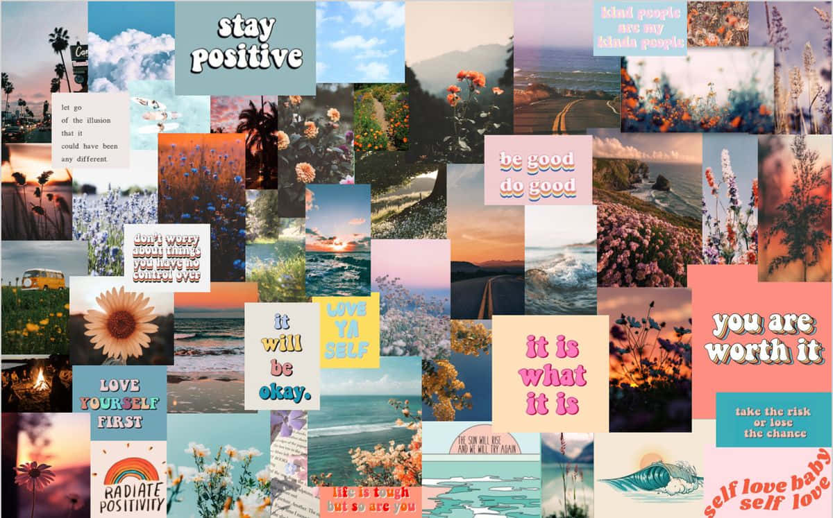 pastel tones, floral imagery, sunset imagery, SD Desktop Wallpaper