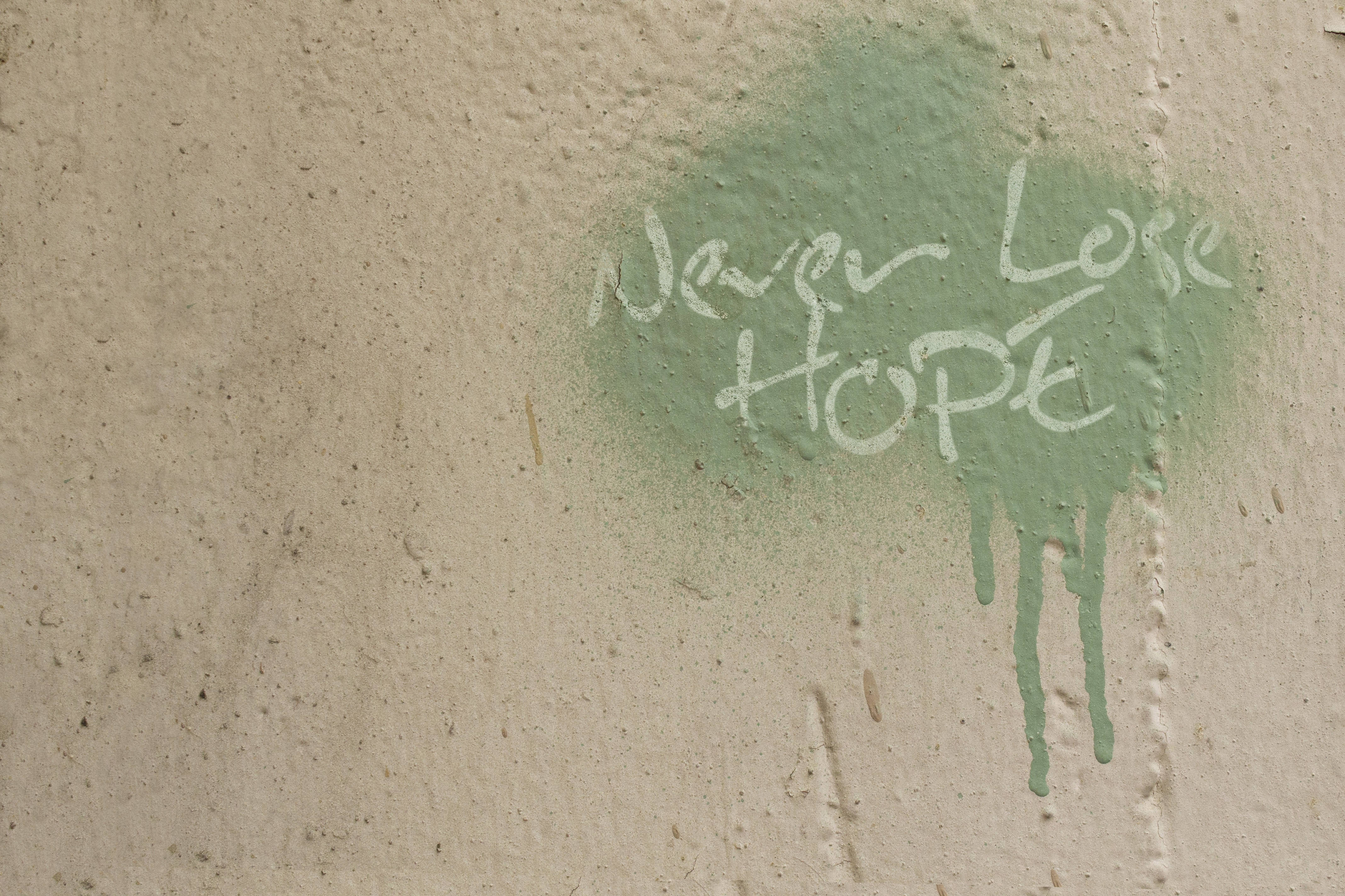 Never Lose Hope, green spray-painted circle, rough beige wall, 4K Desktop Wallpaper