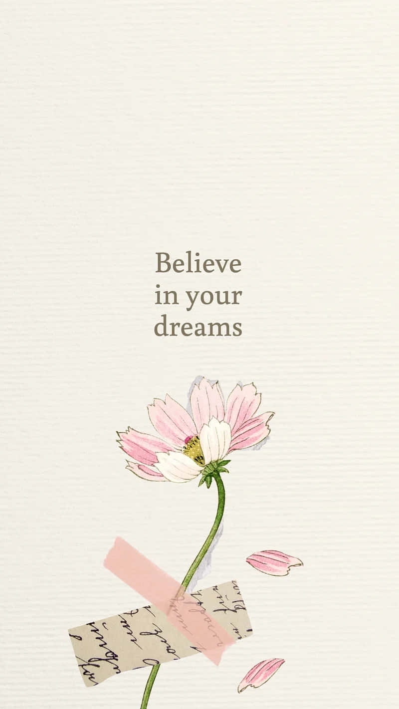pink cosmos flower, scattered petals, handwritten notes taped to its stem, HD Phone Wallpaper