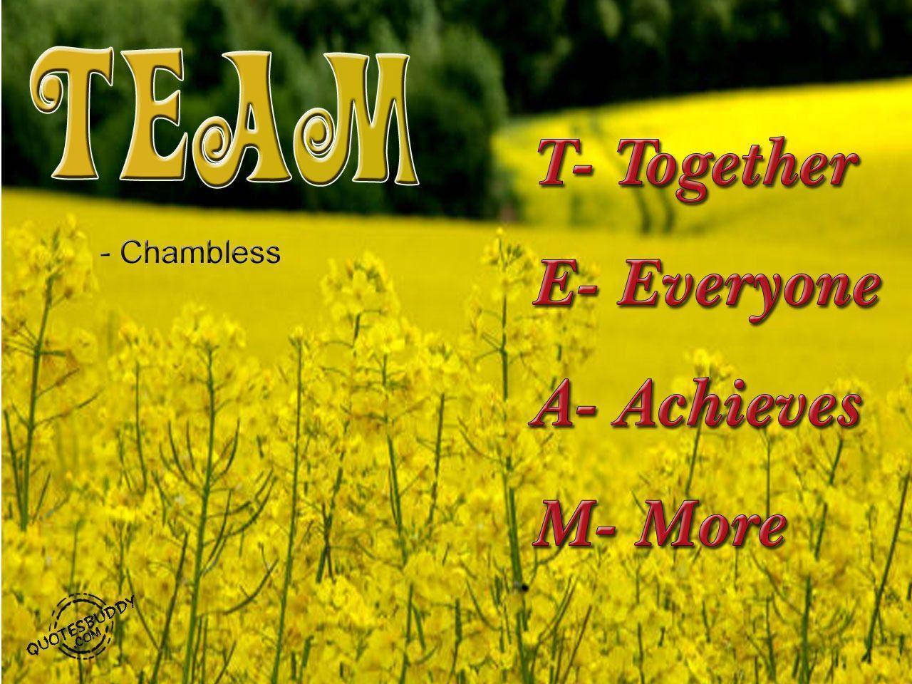 TEAM, yellow aesthetic, rapeseed field, HD Desktop Wallpaper