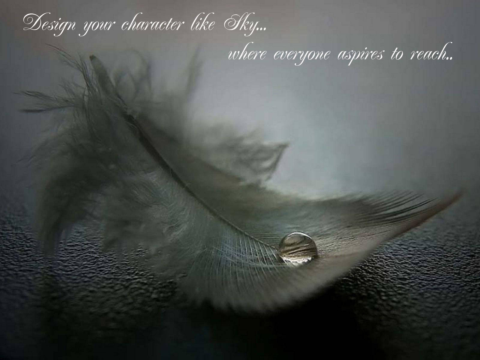 gray feather, glistening water droplet, textured dark surface, HD Desktop Wallpaper