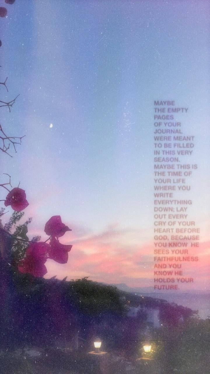 pink bougainvillea, twilight sky, floating text overlay, HD Phone Wallpaper