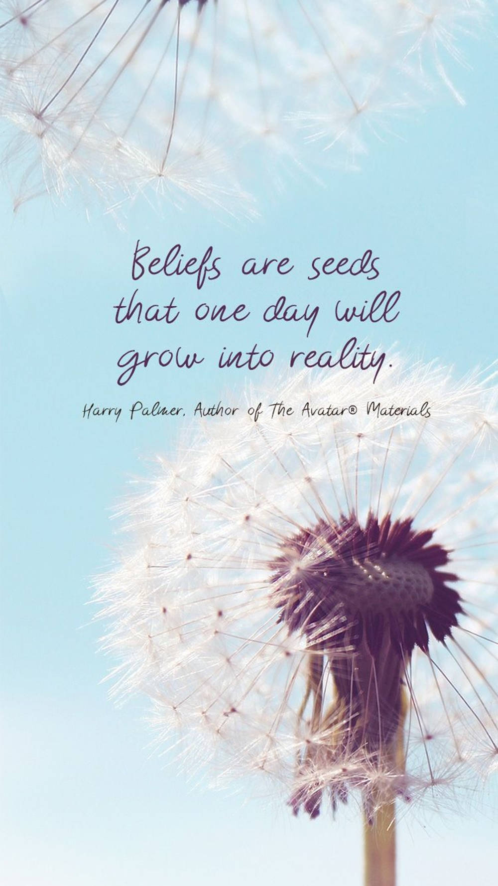 dandelion seed head, clear blue sky, inspirational text overlay, HD Phone Wallpaper
