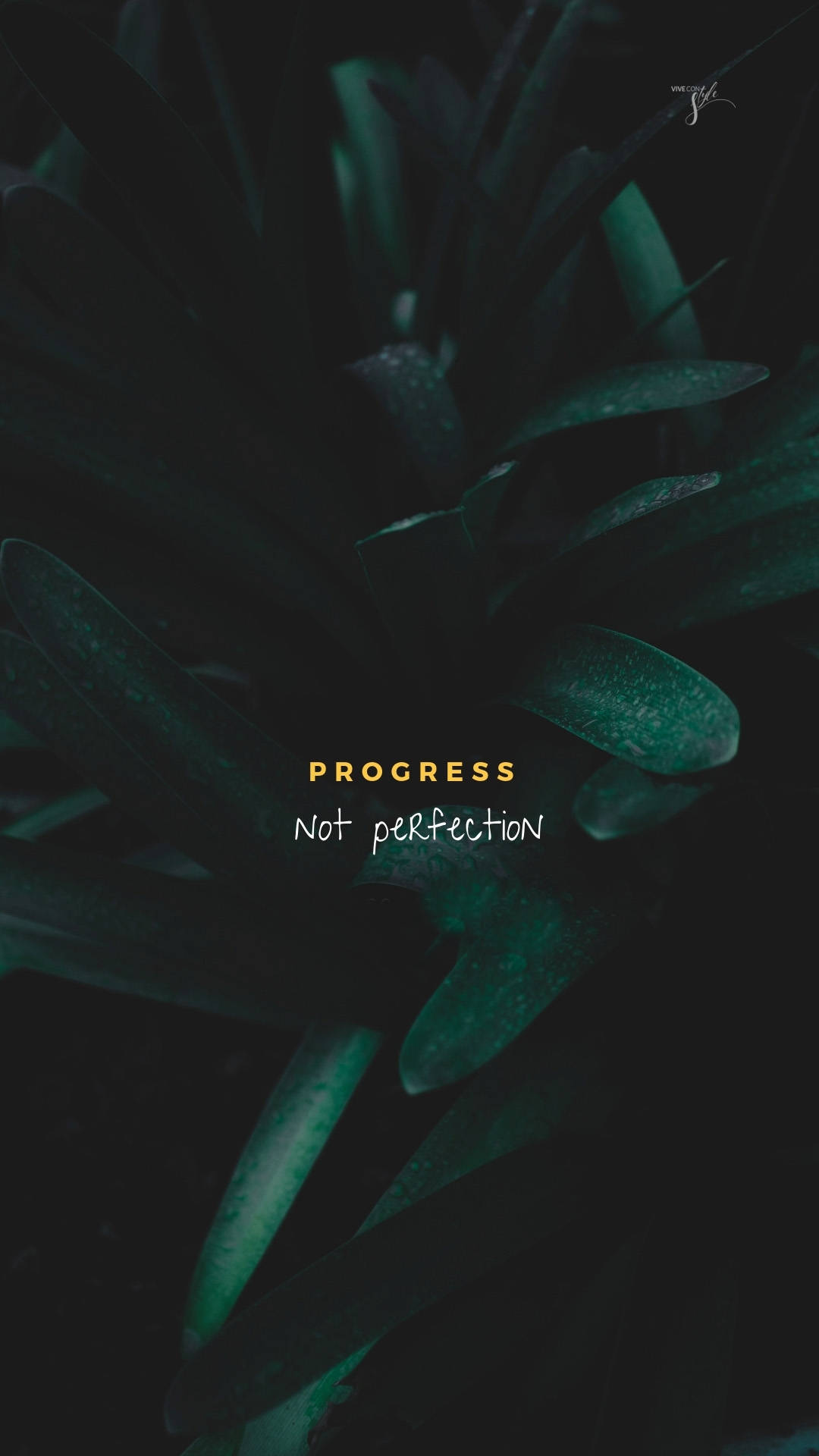 dark teal, succulent leaves, dewdrops, Full HD Phone Wallpaper