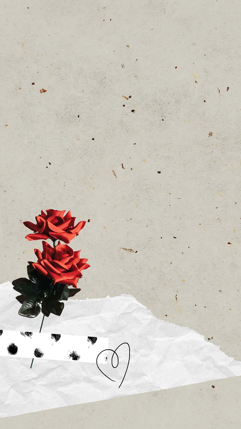 roses, Instagram Stories, vivid red roses, HD Phone Wallpaper