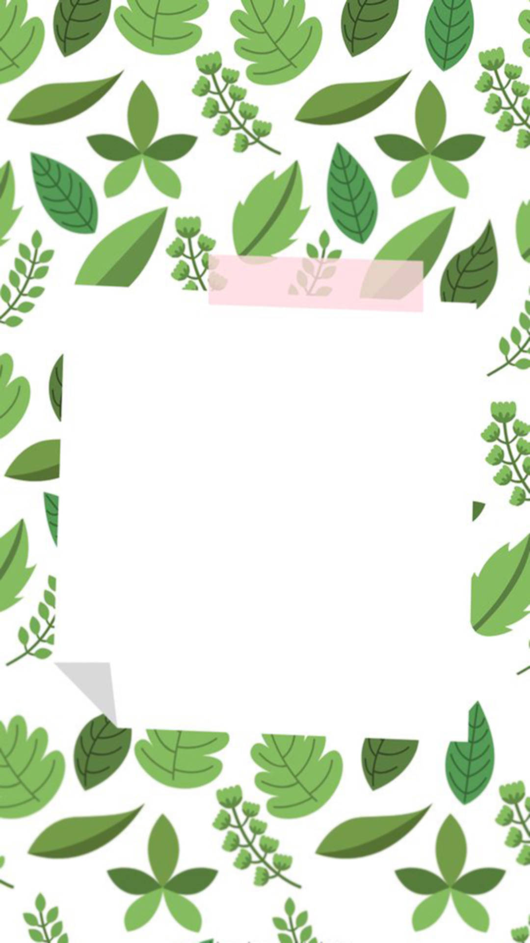 Instagram Story, Polaroid illustration, white background, Full HD Phone Wallpaper