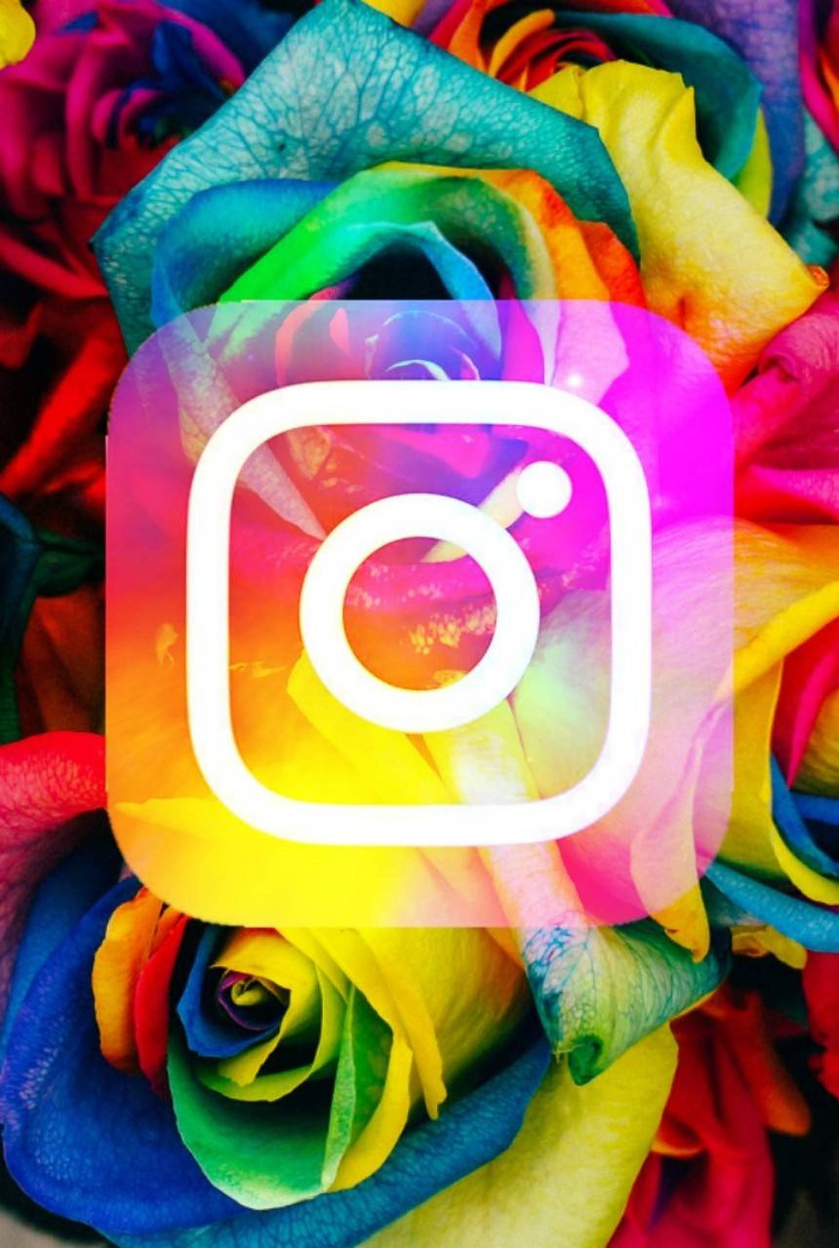 Instagram logo, rainbow roses, glowing, 2K Phone Wallpaper