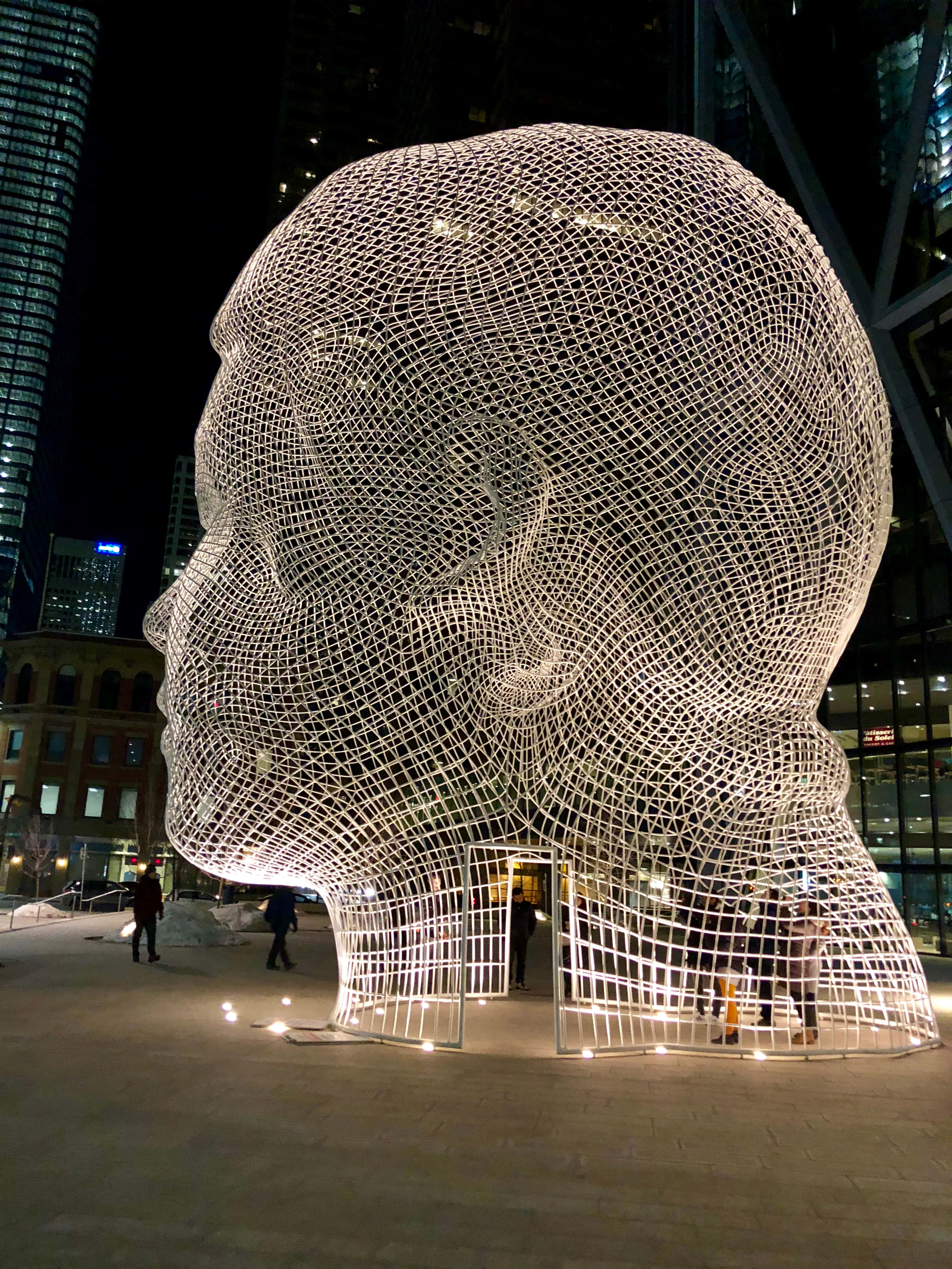 installation art, giant illuminated wireframe head sculpture, night, 4K Phone Wallpaper