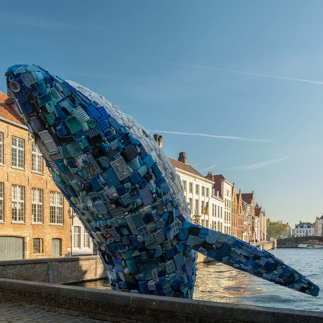 whale sculpture, blue plastic bottles, canal, SD Desktop Wallpaper