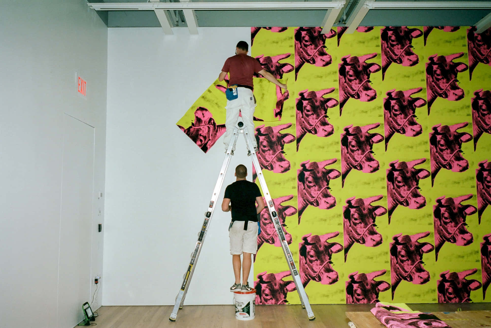 pink cow wallpaper mural, bright yellow wall, modern gallery space, Full HD Desktop Wallpaper