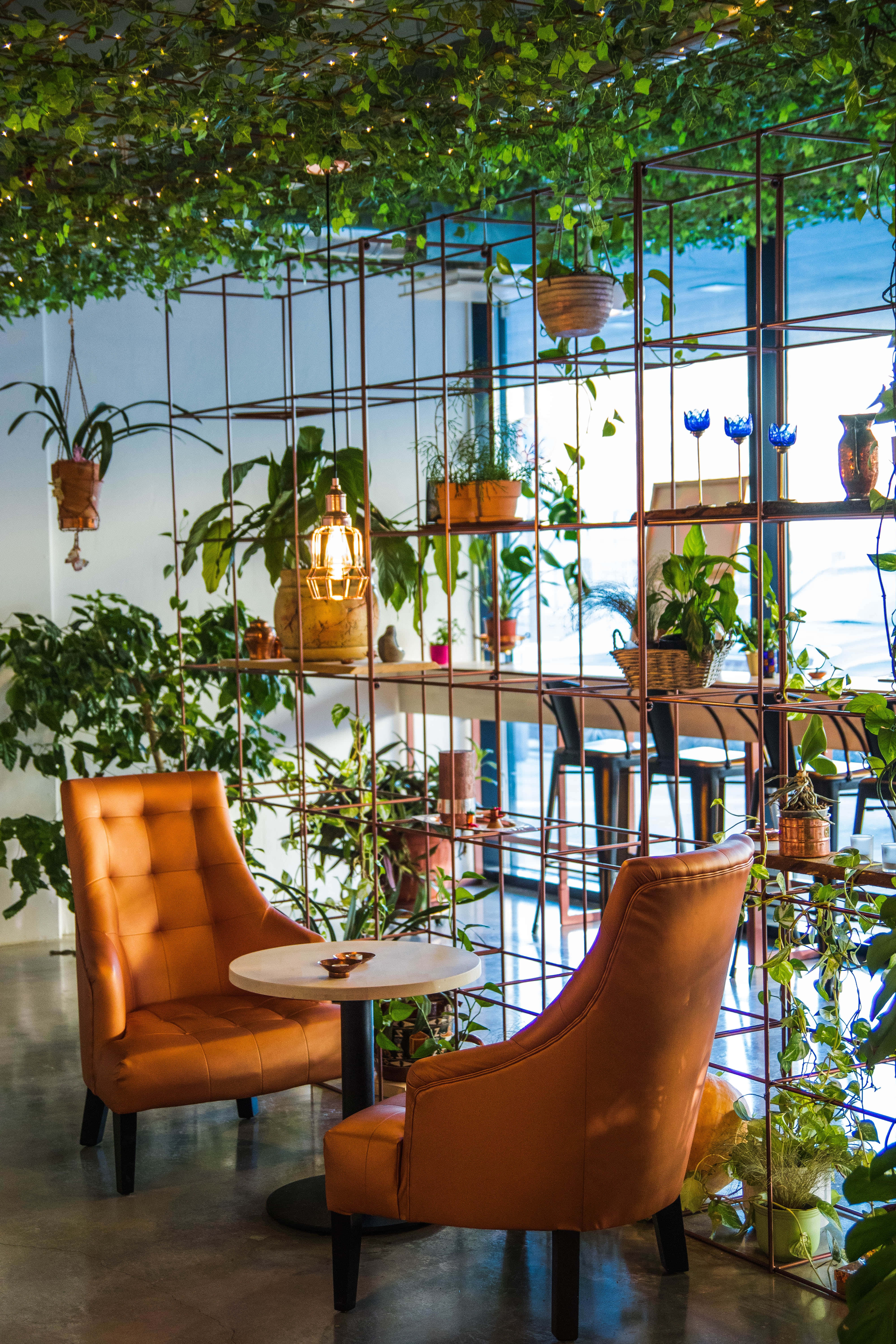 bohemian cafe, orange leather chairs, lush green canopy of hanging plants, 5K Phone Wallpaper