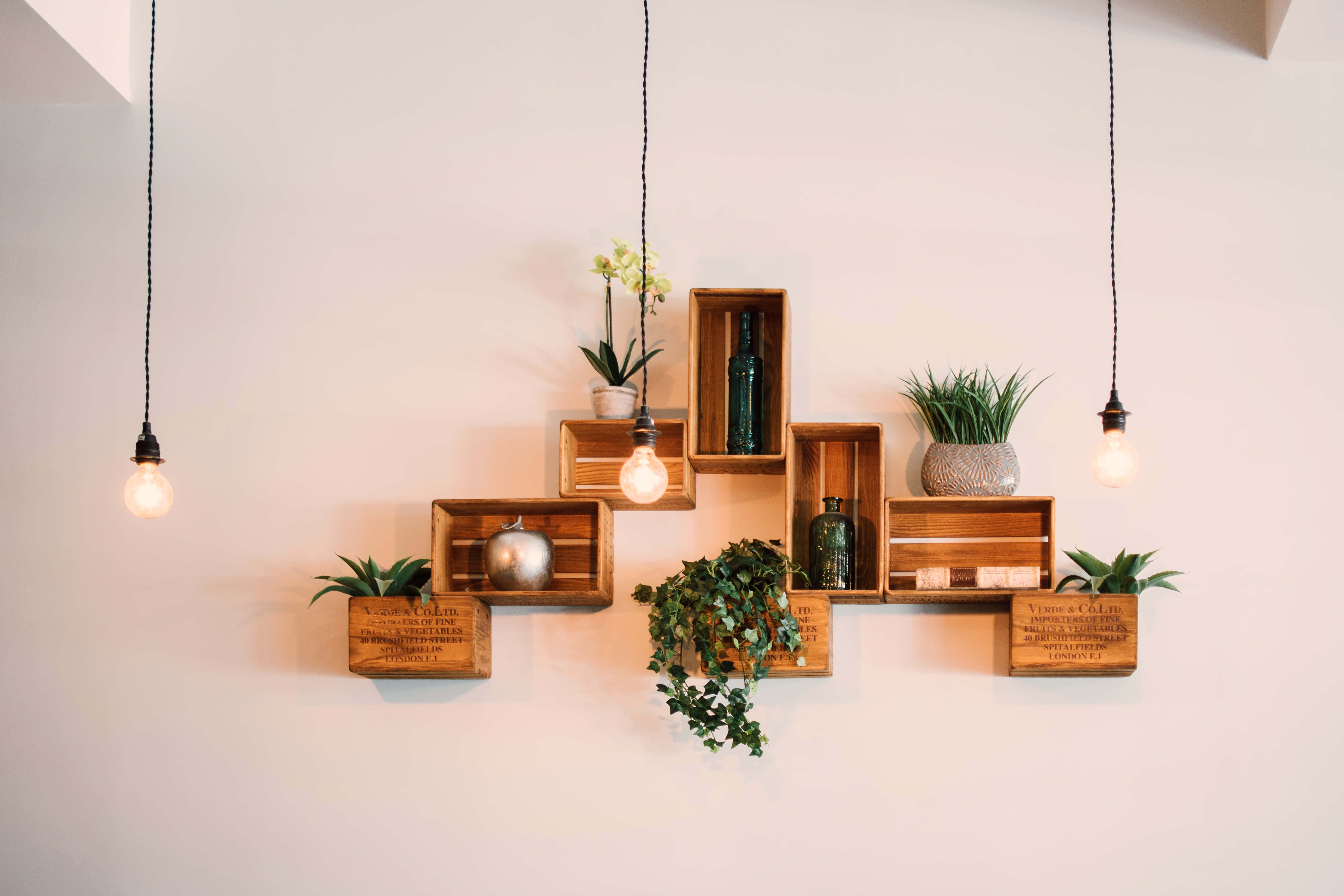wooden plant holder, wall-mounted arrangement, wooden crates, 5K Desktop Wallpaper
