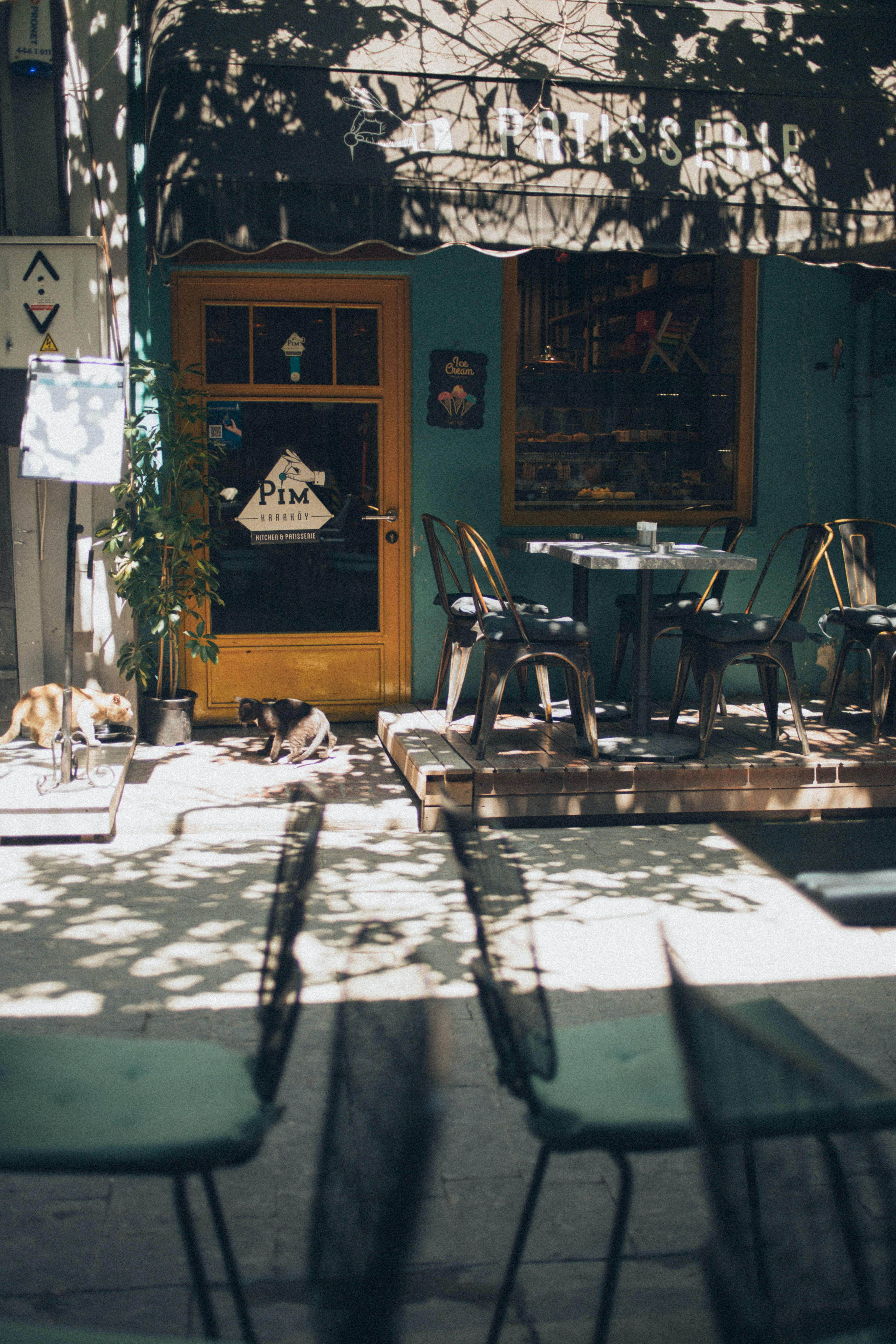 Sunny Day Outside Coffee Shop, teal storefront, sun-dappled sidewalk cafe, 5K Phone Wallpaper