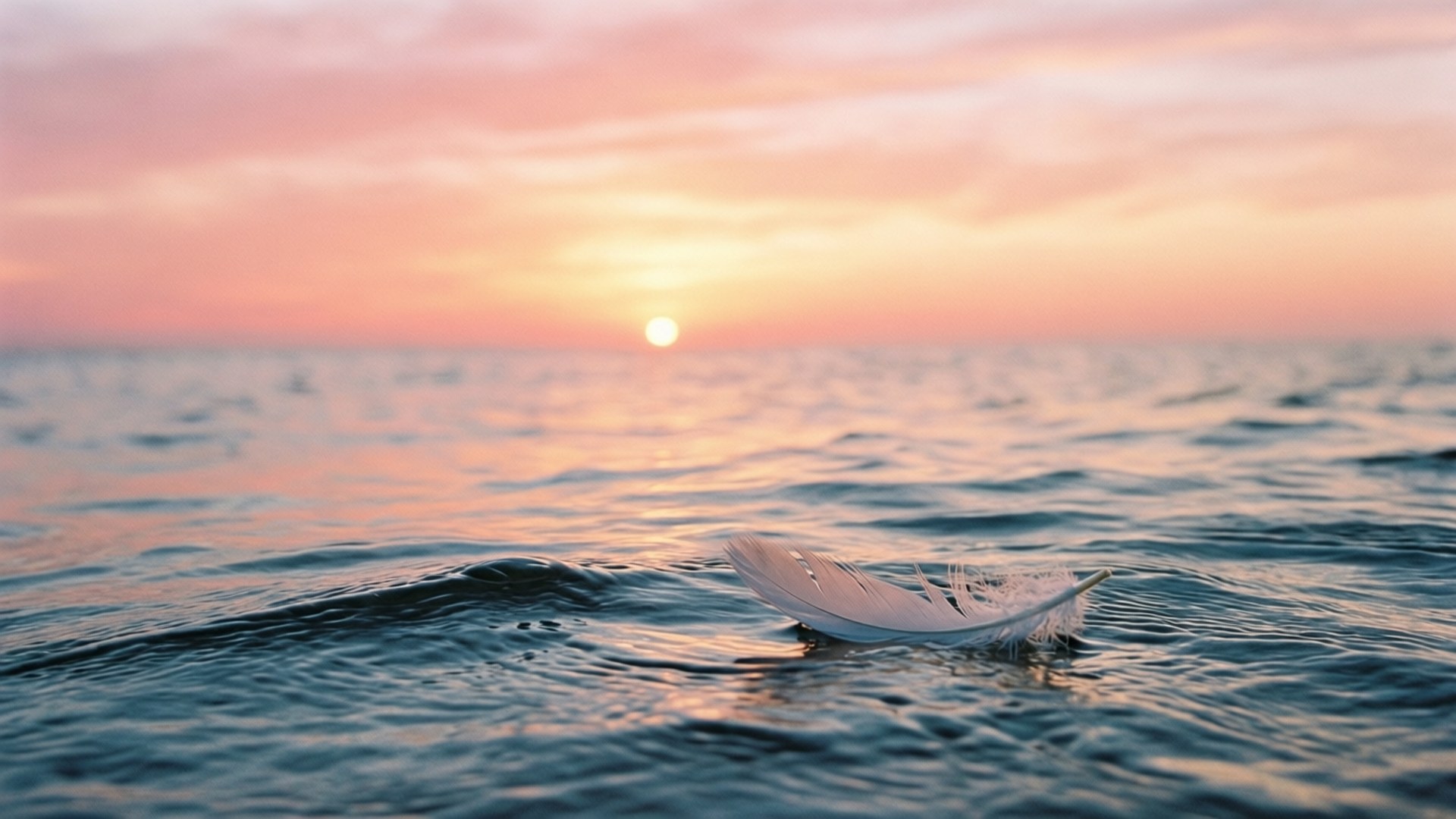 sunrise of hope, white feather, calm ocean waves, Full HD Desktop Wallpaper