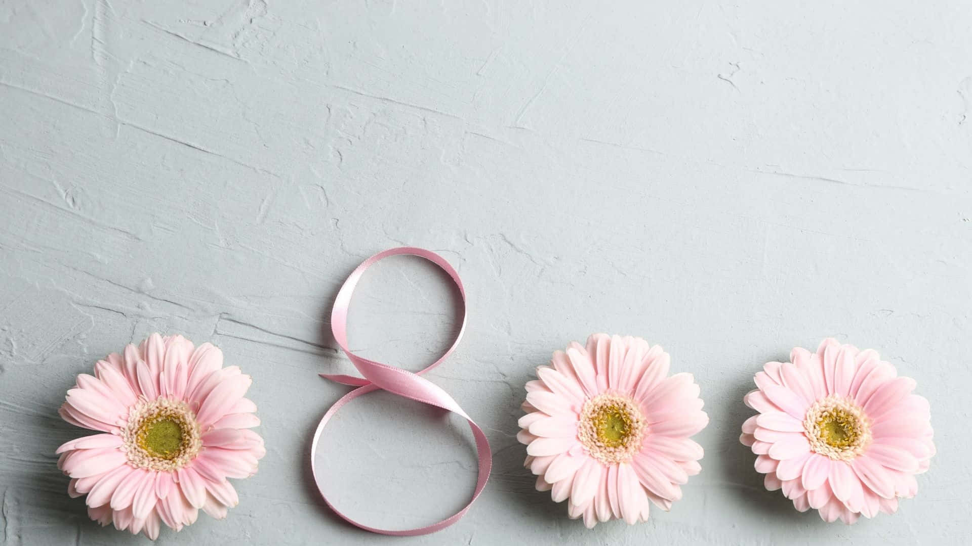 International Women's Day 2023, pink gerbera daisies, pink ribbon, Full HD Desktop Wallpaper