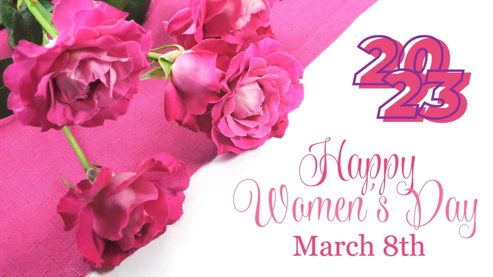 International Women's Day 2023, vibrant pink roses, textured pink cloth, Full HD Desktop Wallpaper