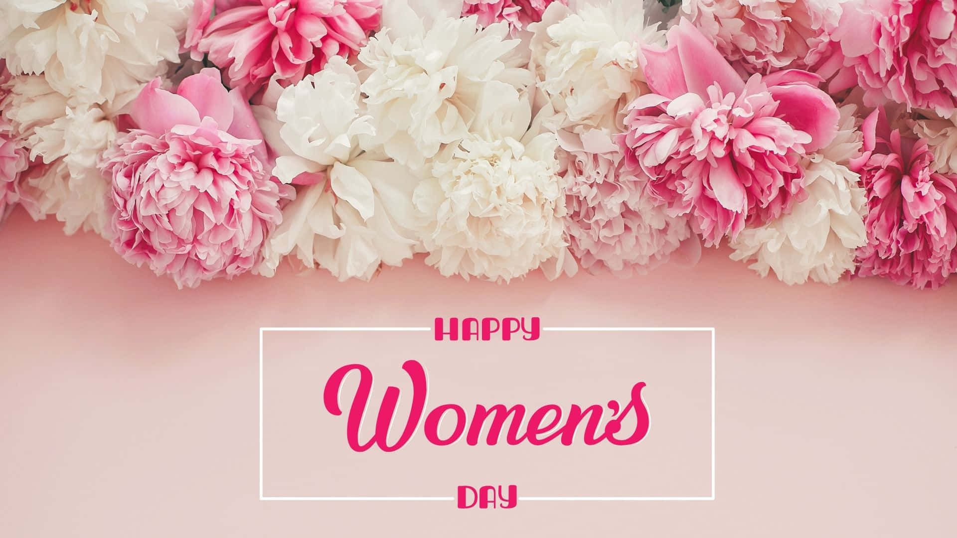 International Women's Day, soft pink background, pink and white peonies, Full HD Desktop Wallpaper