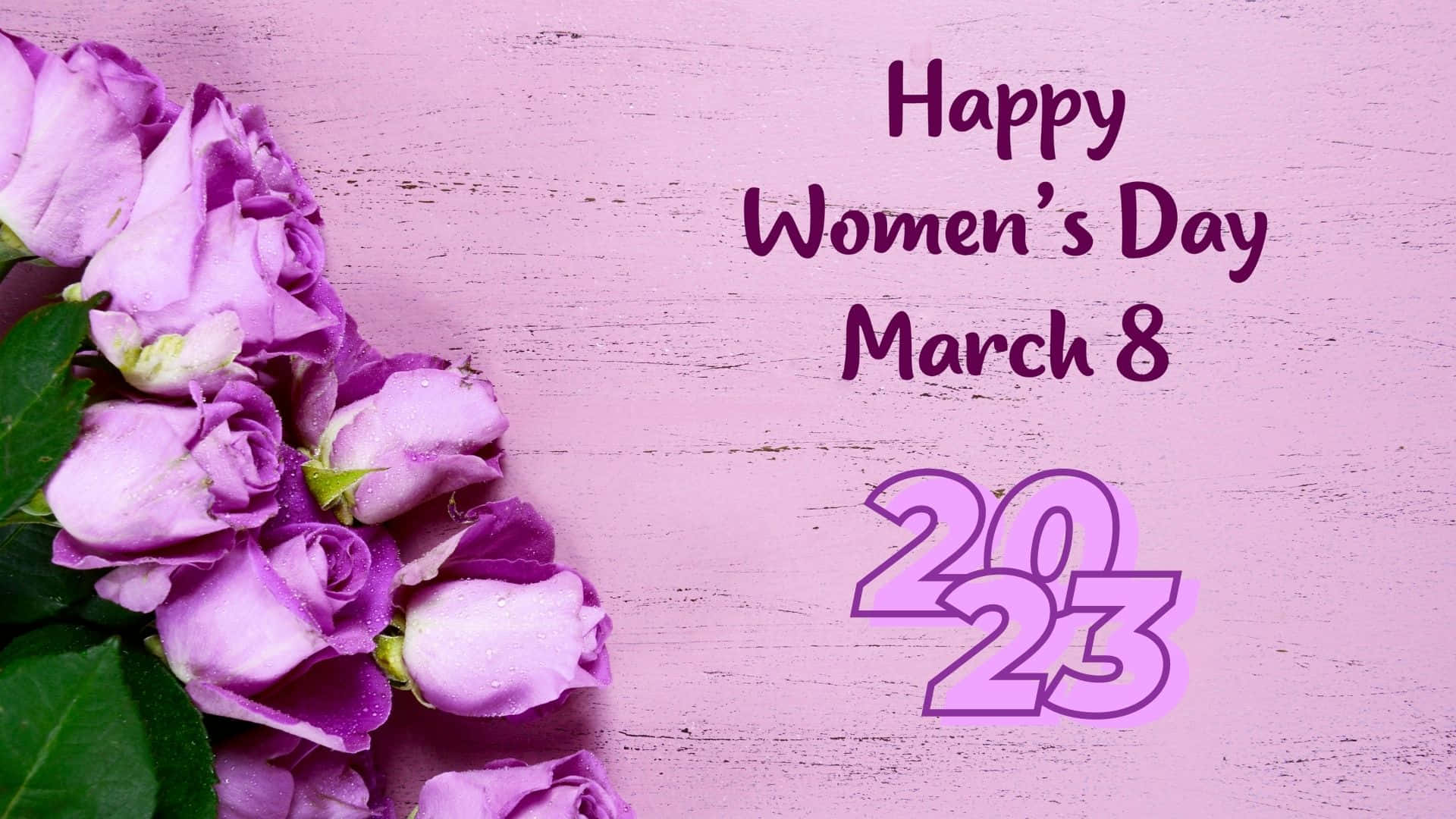 International Women's Day 2023, purple roses, dewdrops, Full HD Desktop Wallpaper
