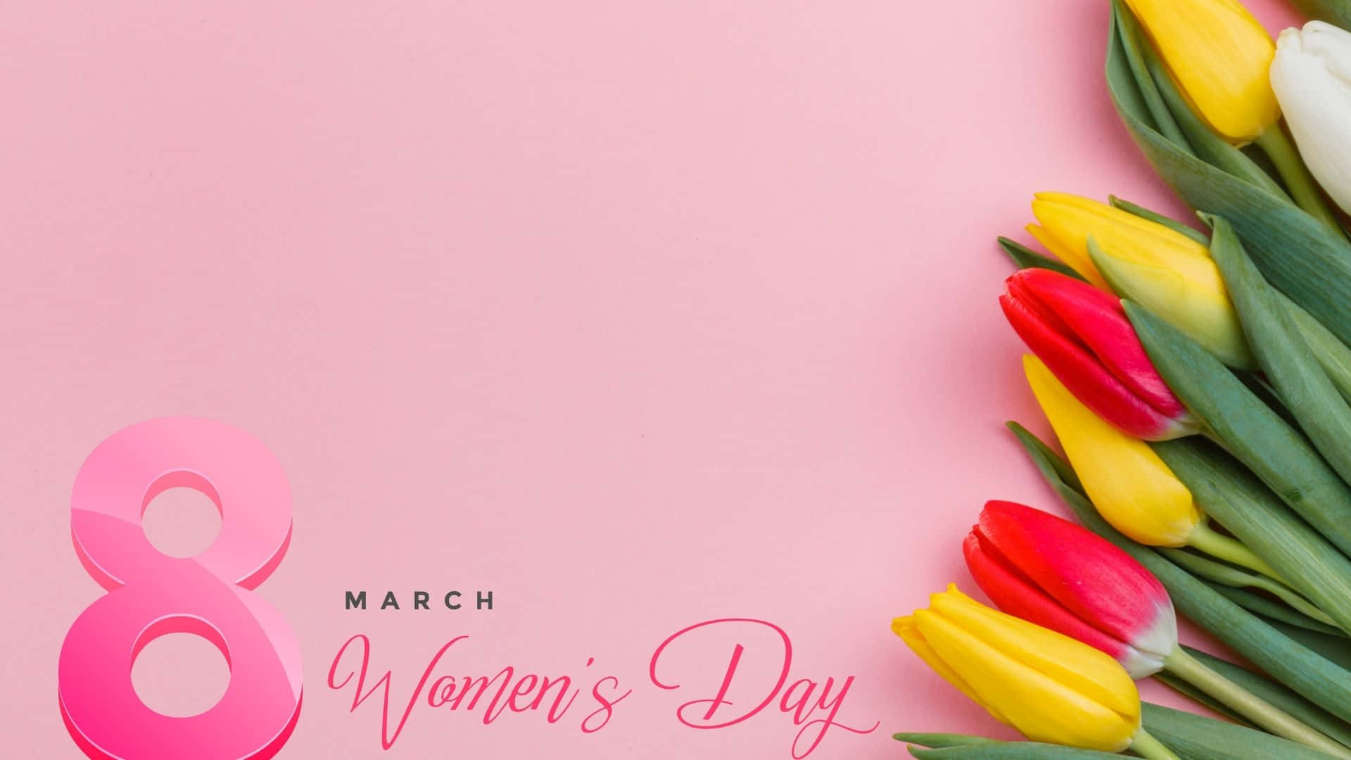 International Women's Day, red yellow and white tulips, soft pink background, Full HD Desktop Wallpaper