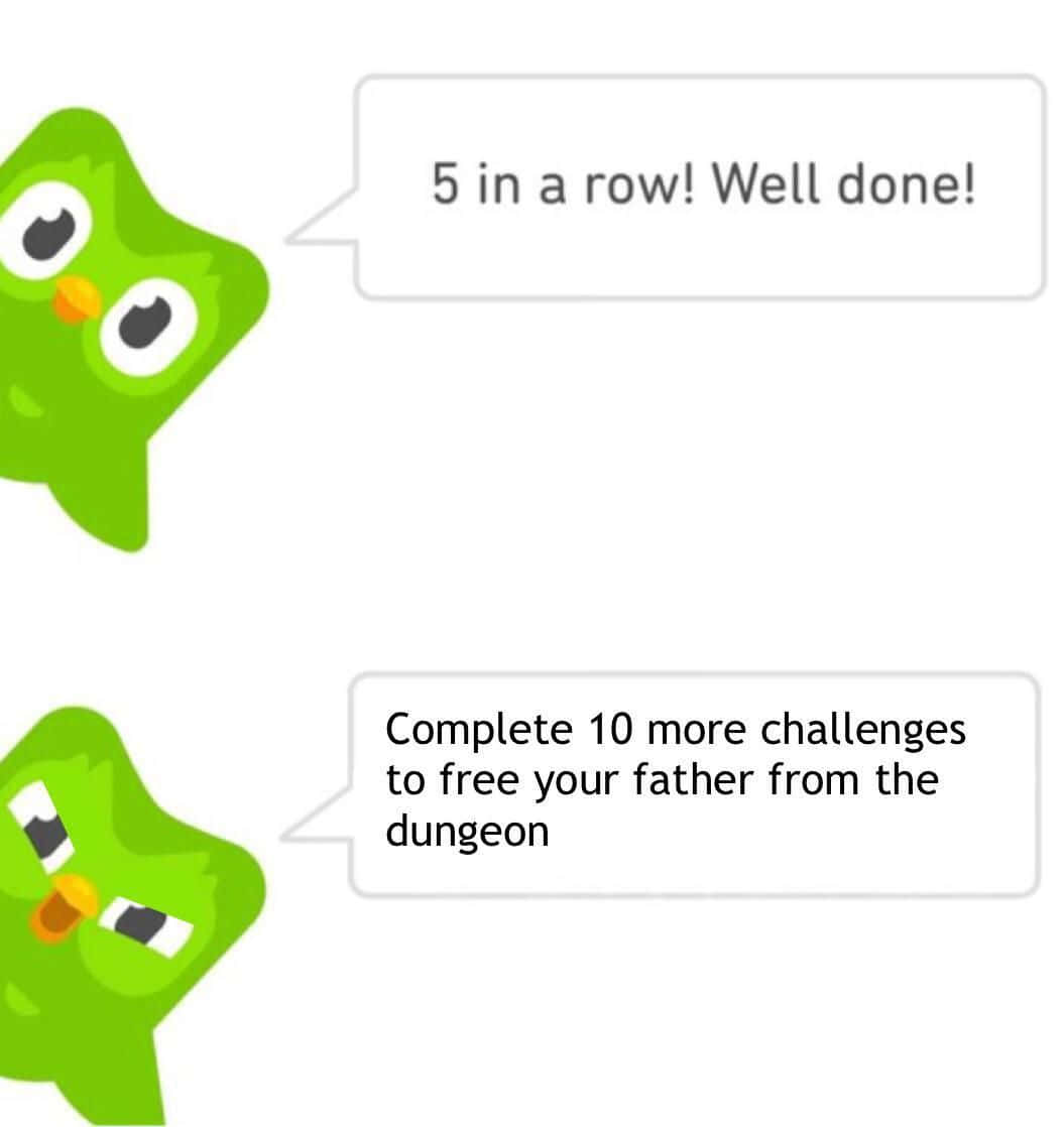 Internet Meme, green cartoon owls, speech bubbles, SD Phone Wallpaper