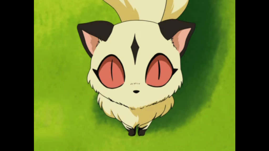 Kirara, anime cat, cream-colored, SD Desktop Wallpaper