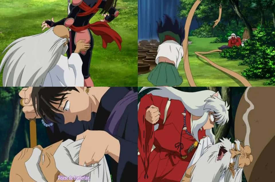 Inuyasha, Miroku, forest, SD Desktop Wallpaper