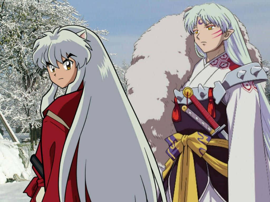 Inuyasha, Sesshomaru, silver hair, SD Desktop Wallpaper