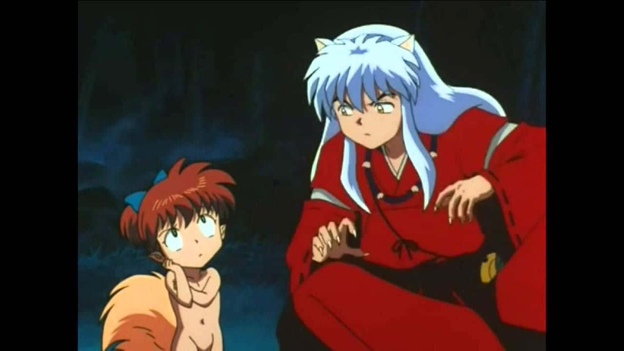 Inuyasha, Shippo, white hair, HD Desktop Wallpaper