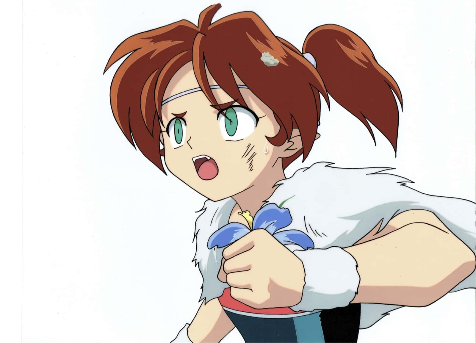 Ayame, Inuyasha, brown pigtails, HD Desktop Wallpaper