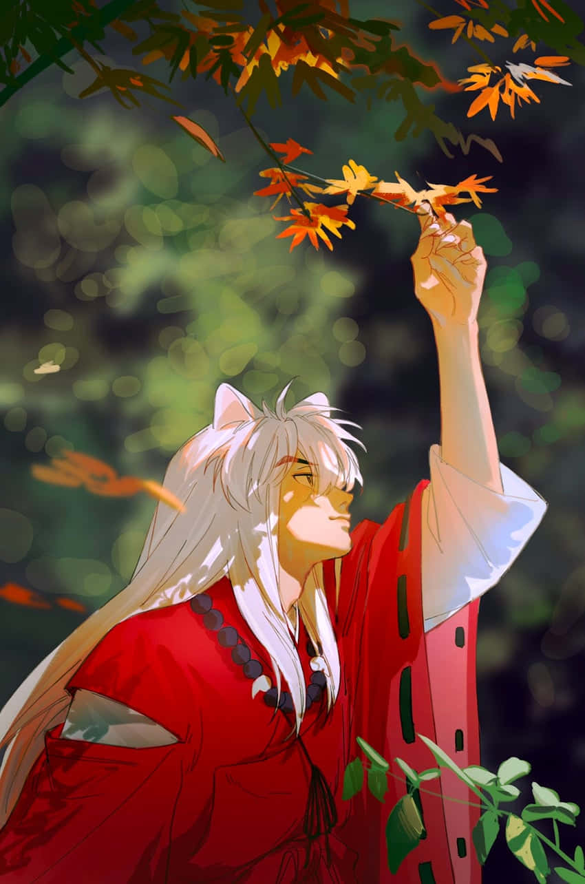 Inuyasha, white hair, fox ears, HD Phone Wallpaper
