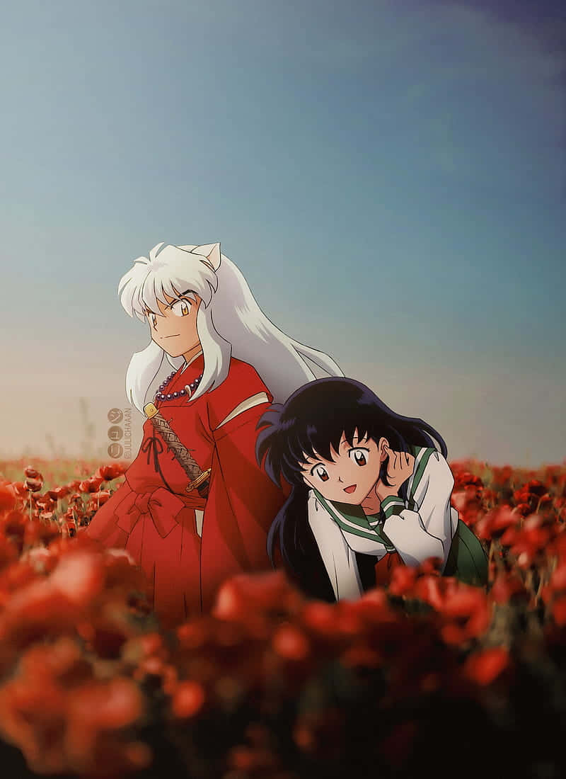 Inuyasha, red poppies, soft blue sky, SD Phone Wallpaper