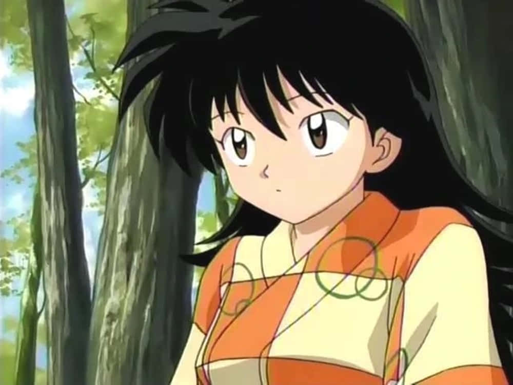 Inuyasha, Rin, sunlit forest, SD Desktop Wallpaper